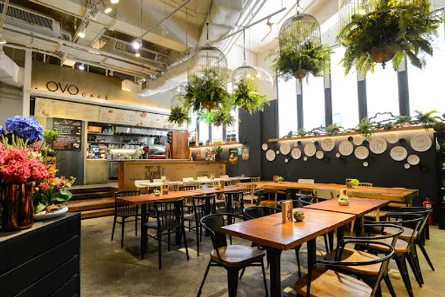 OVO Cafe
