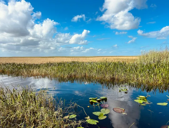 Captain Willy Everglades Tours