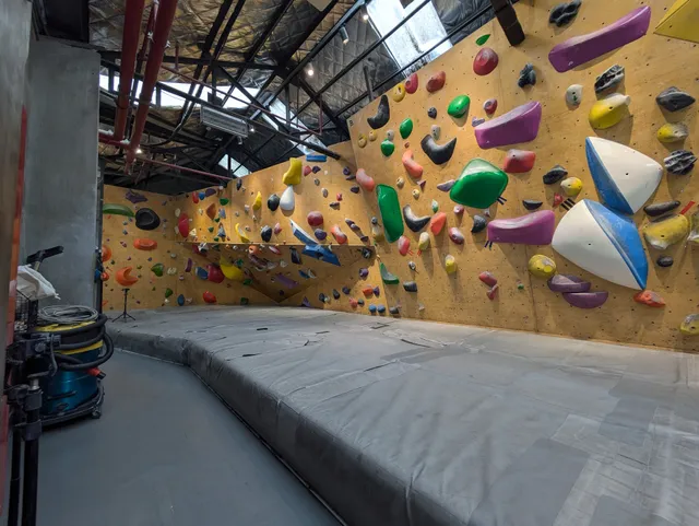 Pongo Climbing Gym