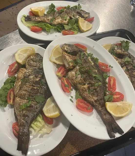 4 DELFINIA, 4 Δελφινια