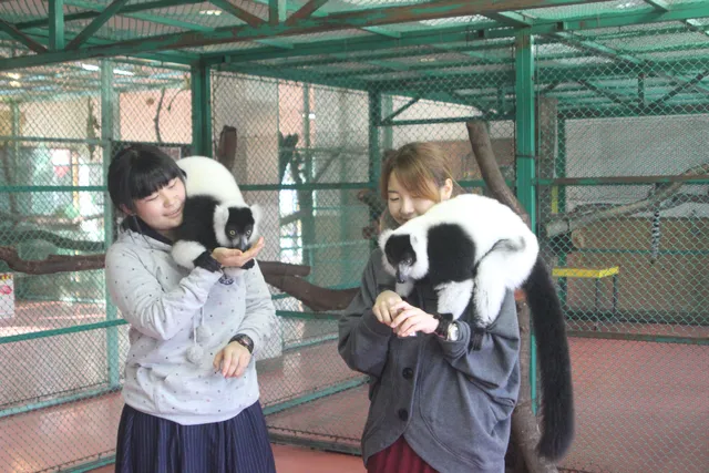 Nasu World Monkey Park
