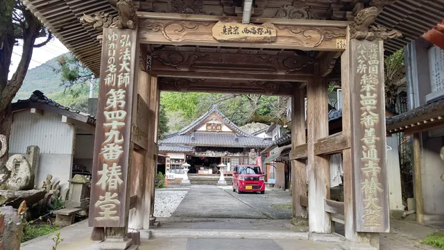 Tsubakido 'Henjouin'