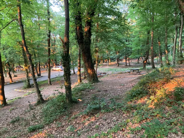 Kuzuluk Tabiat Parkı