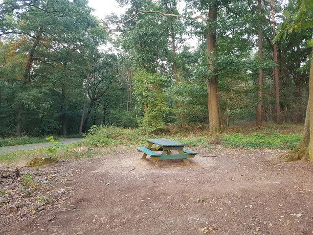 Waldlehrpfad Remagen