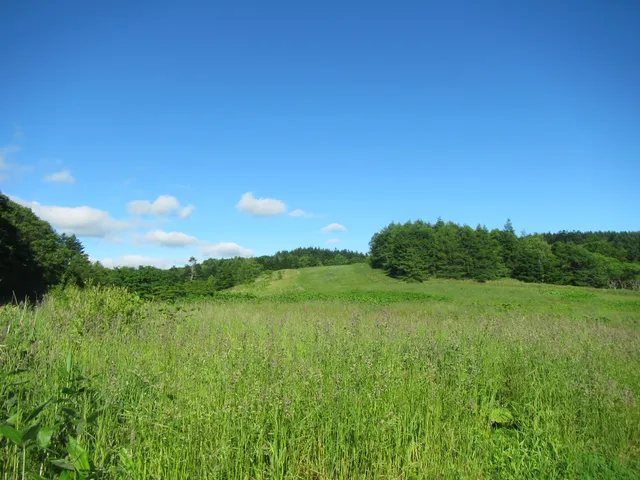photo-3