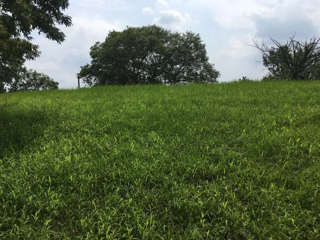 Mahikizawa Minami Park