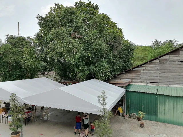 photo-1
