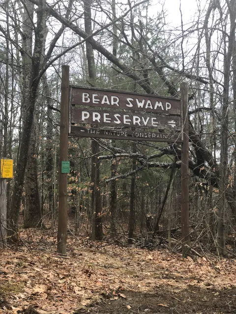 Bear Swamp Preserve