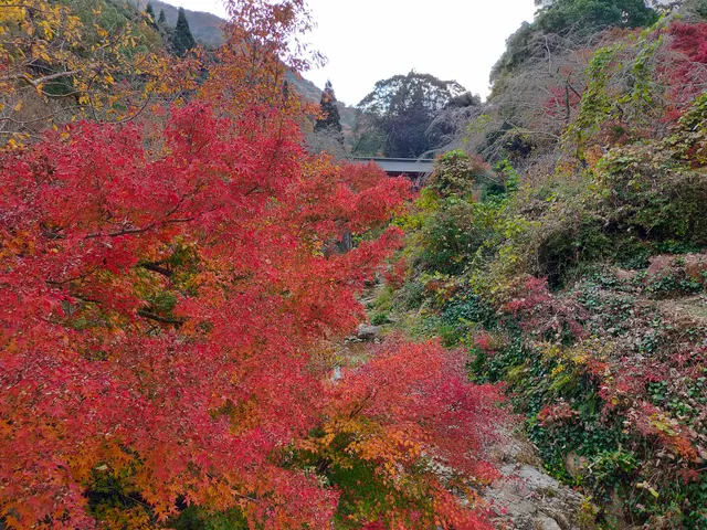 Yahatakawa Natural Park