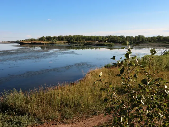 Thomson Lake Regional Park