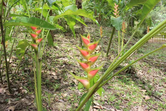 San Miguel del Puerto