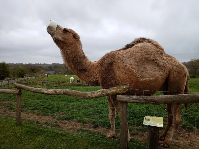 L'Arche Desnoe Parc animalier