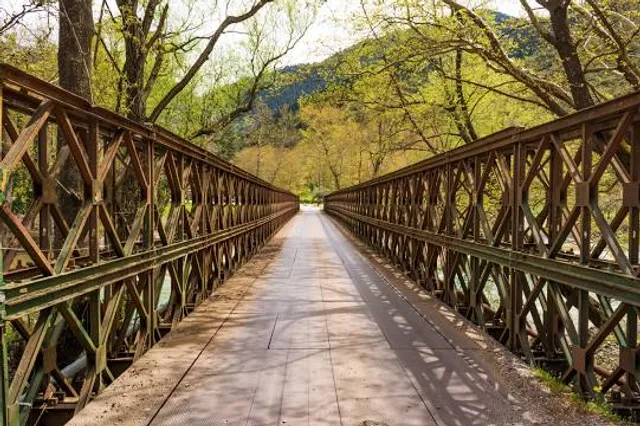 Megdova Bridge
