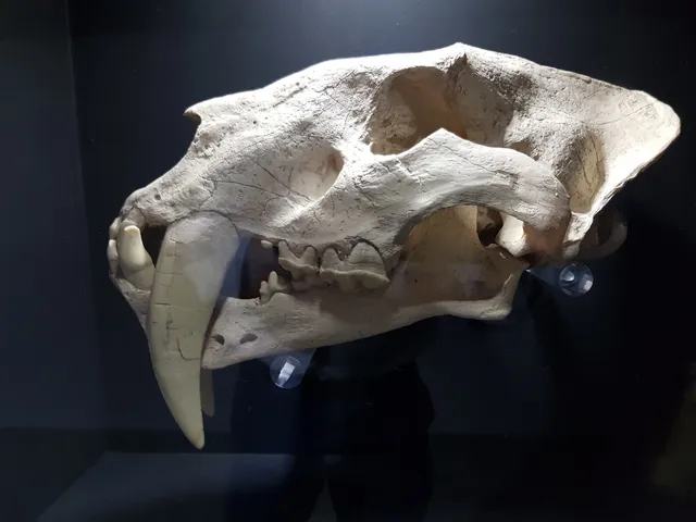 Centro de Ciência de Vila Real