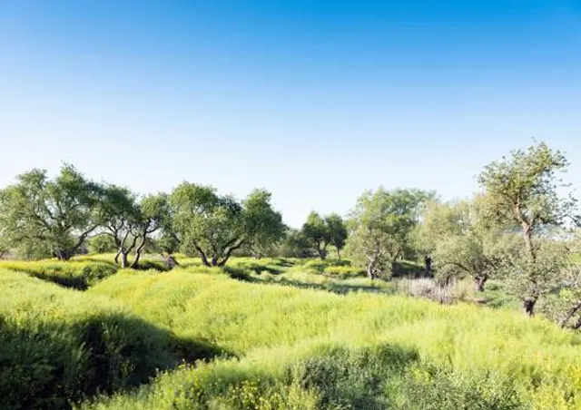 Werk aan de Groeneweg