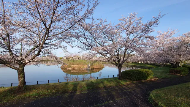 Hojo Oike Pond