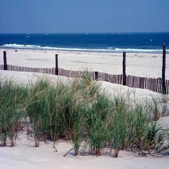 New Jersey Beach