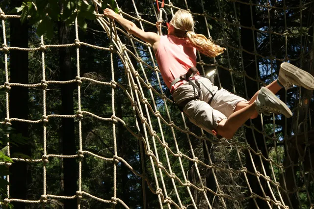 Accroche Toi Aux Branches | Jaujac (Aubenas)