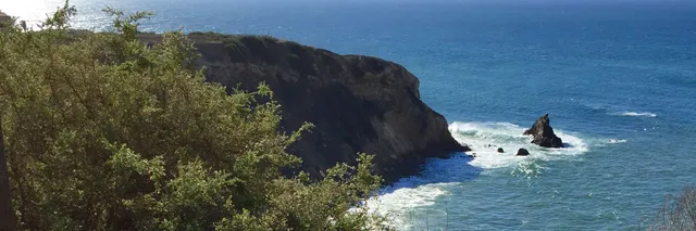 Vicente Bluffs Reserve