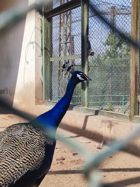 Lohi Bher Wildlife Park