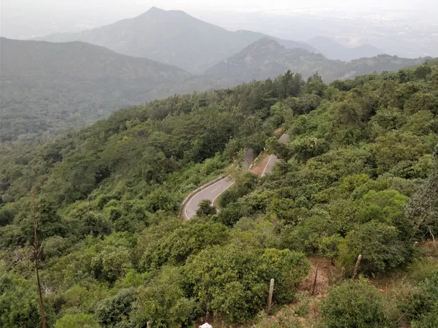 Sirumalai Reserved Forests (little princess of hills)