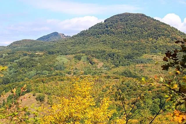place image