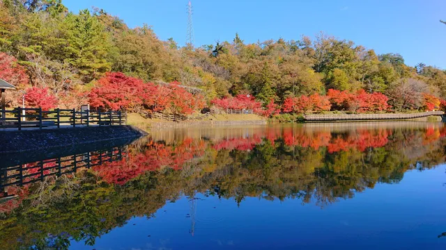 Lake Shimokawaguchi Osawa