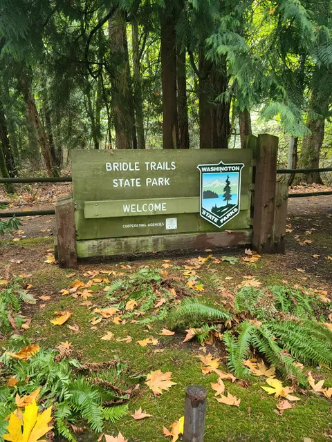 Bridle Trails State Park
