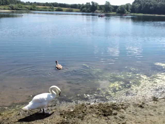 Hetton Lyons Country Park