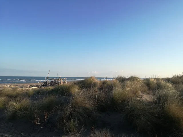 Coastal Botanical Garden of Veneto