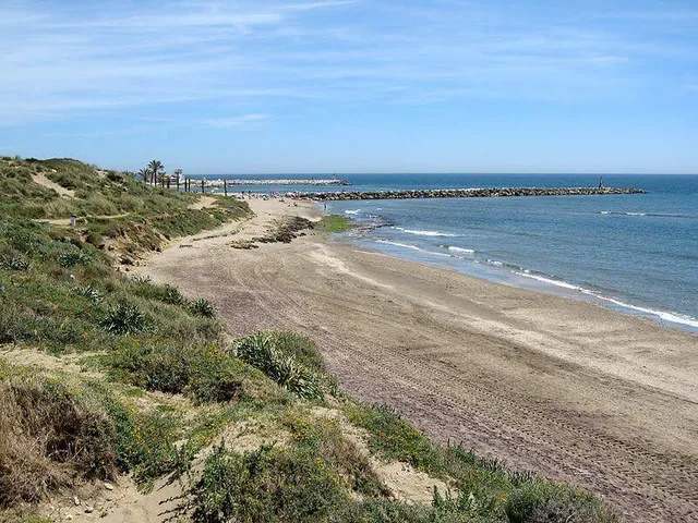 Playa nudista Guadalmar
