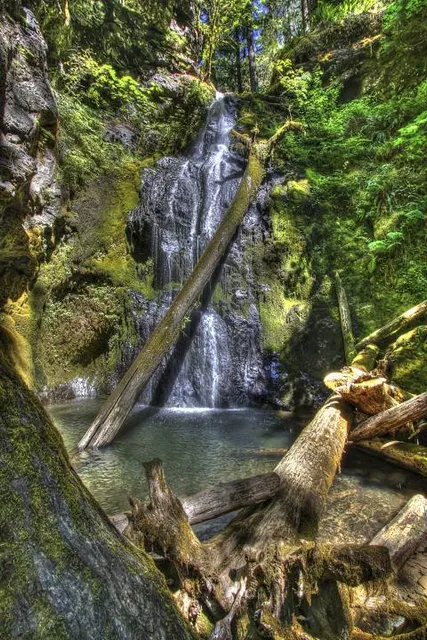 Trestle Creek Falls Trail 1403c