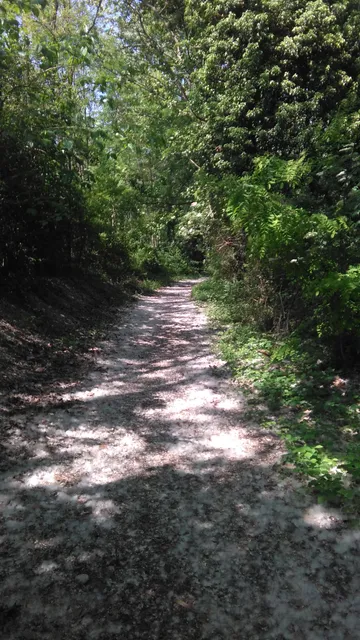 Oasi Naturalistica Codibugnolo