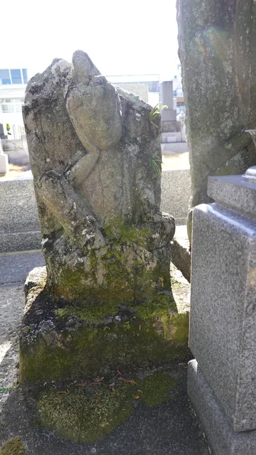 photo-1