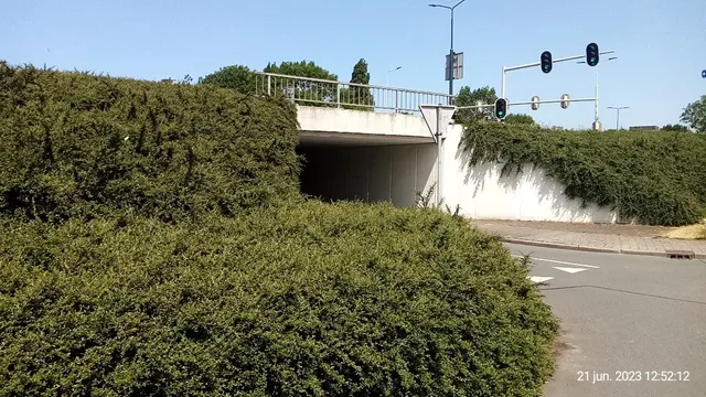 Tuinvereniging Oostvliet