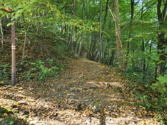 Castle over Raba river
