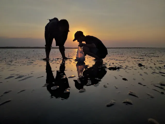 Hutan Mangrove Permata Pilang