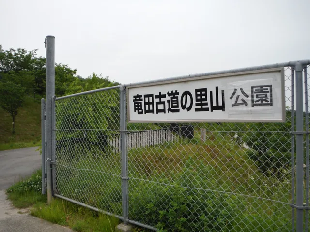 Satoyama (Village forest) park on Tatsuta kodou (Historical way)