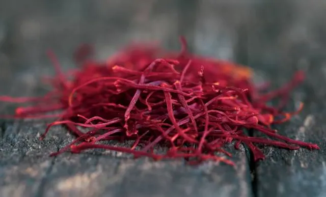 Taman Negeri Bukit Panchor, Pulau Pinang