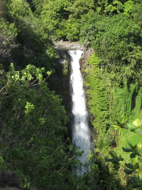 Falls of Makahiku