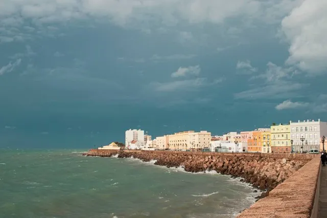 Strangler figs of Cádiz