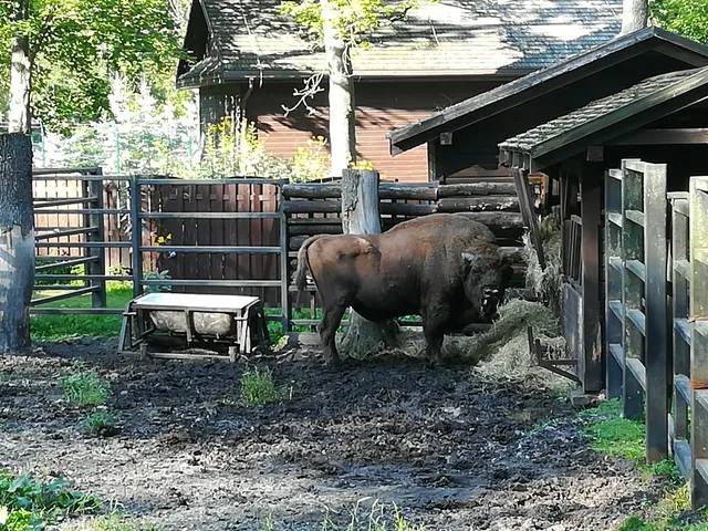 Constitution of 3 May 1791 Park