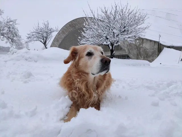 Akita Prefectural Central Park
