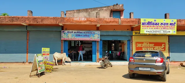 Mowgli Tiffin Center (Veg only)