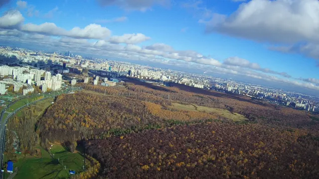 Битцевский Лес