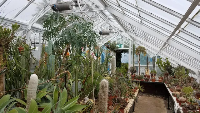 Talcott Greenhouse