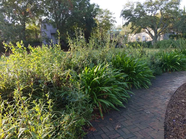 Tiedemann Park Nature Center & Playground