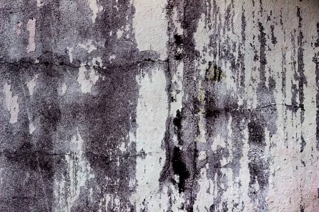 Galleria Montale - San Marino Train