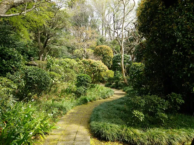 photo-1