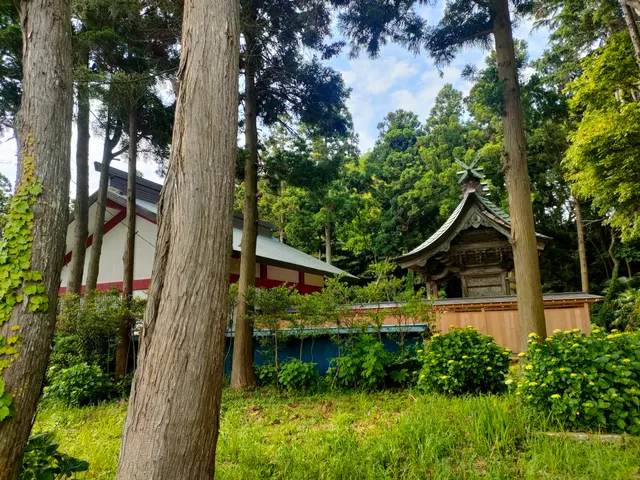 photo-1